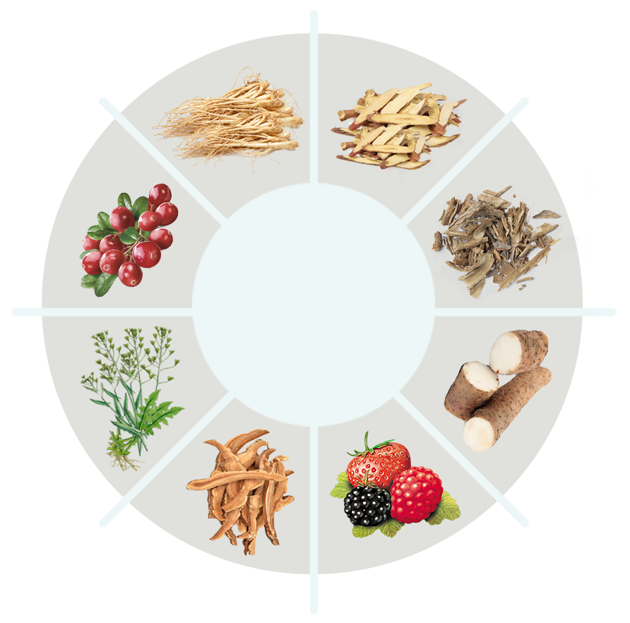 TupiTea ingredient wheel